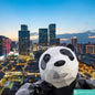 10-Day Beijing-Xi’an-Chengdu-Shanghai Panda Tour china tours